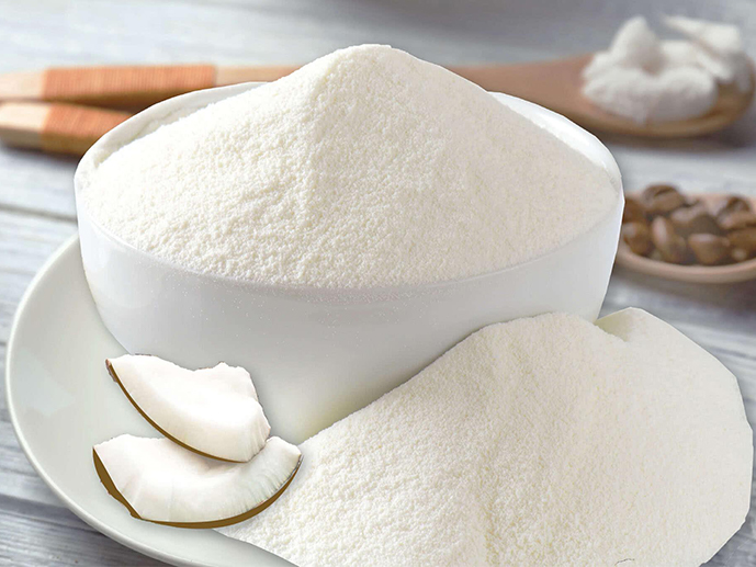 coconut milk powder coconut milk powder