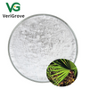 Saw Palmetto Extract Powder